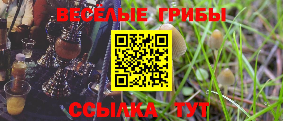 Орехово-Зуево  Псилоцибиновые грибы мухоморы  Вход с VPN  Псилоцибиновые грибы Cubensis 